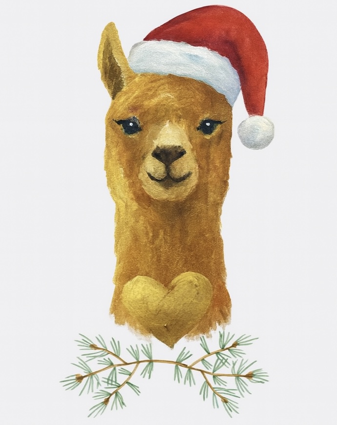 Gutschein – Bild 2