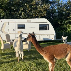 Urlaub im Glamping-Caravan